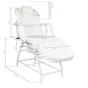 LYA Gris Fauteuil de Soins Esthétiques