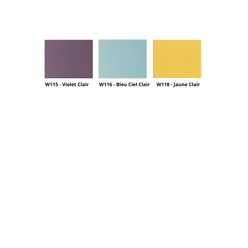 GHOST Fauteuil coiffure - Palette de couleur - Nuancier 5 - Malys Equipements