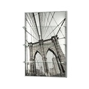 POTION Høj udstiller med LED og billede