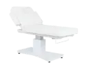 BERE Electric SPA Table