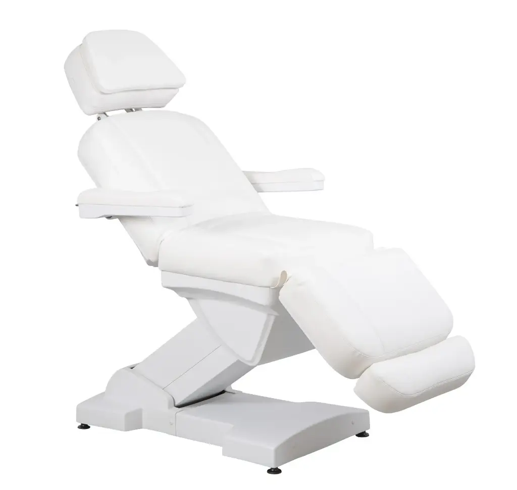 RICLE Fauteuil de Soins Esthétiques Électrique Chauffant 