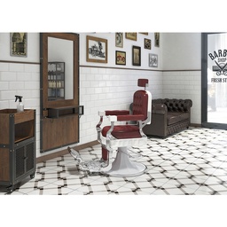 [MRP-TAYLOR] TAYLOR Kompletter Friseursalon