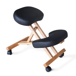 [NOAH-TE045-BLK] NOAH Ergonomic Medical Chair - Black