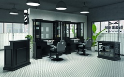 [MRP-MODERN] MODERNE complete kapperssalon