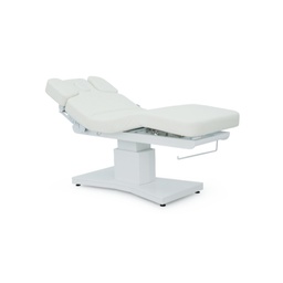 FLORA Electric Massage and Treatment Table