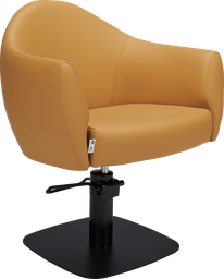 [MI-AUDREY] BEA Hairdressing chair